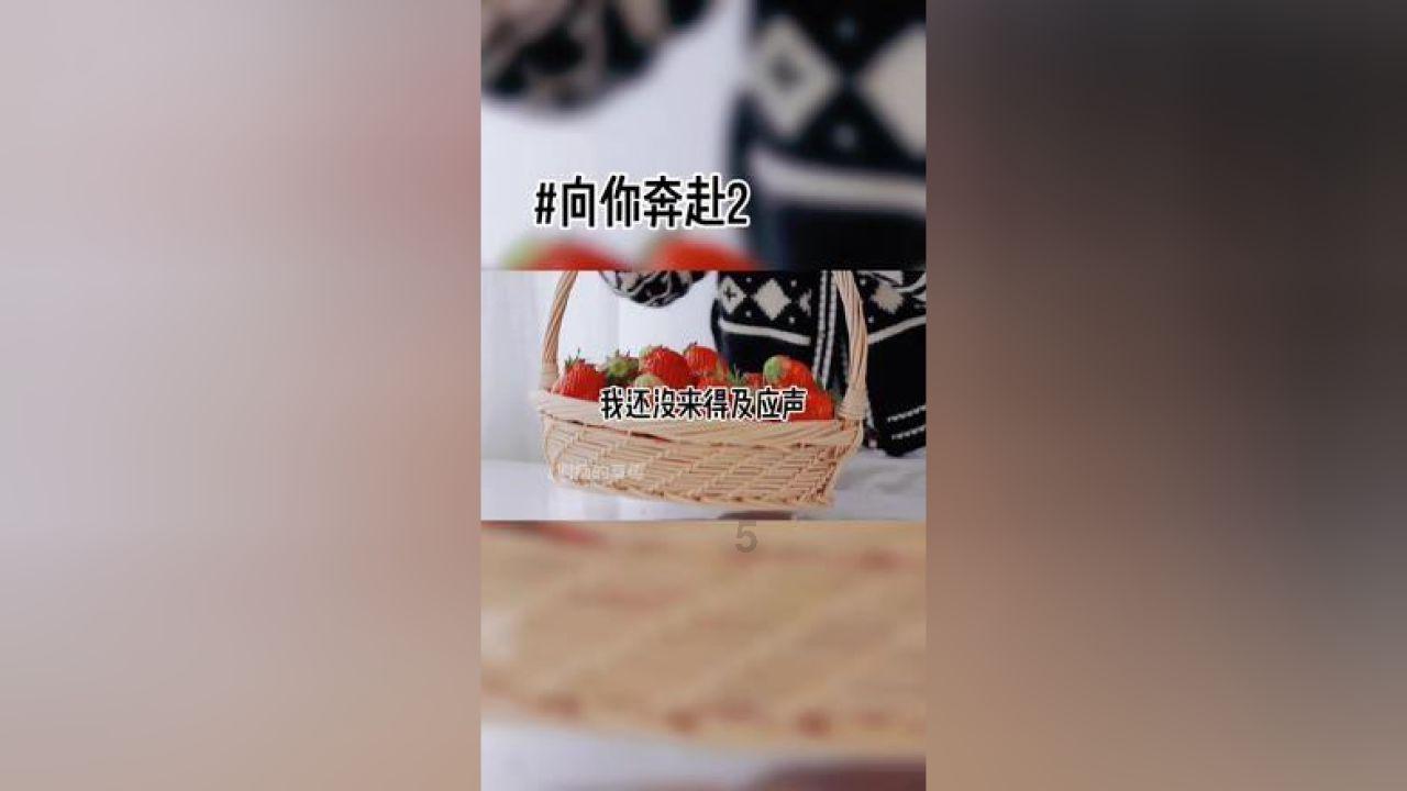 小企鹅逃生